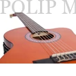 Kép 4/5 - GMC G21CE 4/4 elektro-klasszikus gitár