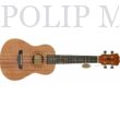 Arrow MH-10 Koncert ukulele Natural