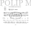 Kép 4/5 - Béres János Furulyaiskola 1