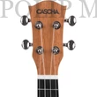 Kép 5/8 - Cascha HH 2027 GB Premium Mahogany Soprano Ukulele Bundle EN