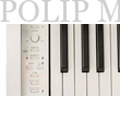 Kép 2/6 - Casio AP-270 Celviano WE digitális zongora