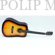 GMC-229 akusztikus (western) gitár sunburst
