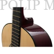 Kép 3/3 - GMC-851X Klasszikus gitár 3/4 natúr