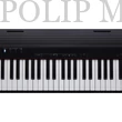 Kép 10/13 - Roland GO : PIANO88 hordozható digitális zongora