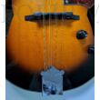 Ibanez M510E-BS elektroakusztikus mandolin (Használt cikkek)