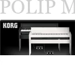 Kép 4/7 - Korg LP-180 BK digitalis-zongora