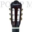 Pasadena SC041C BK 4/4 klasszikus gitár