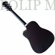 Pasadena SG028C Black Akusztikus gitár