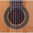 Kép 3/3 - Prodipe - Primera 4/4 klasszikus gitár