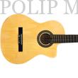 Pasadena SC041C Natural 4/4 klasszikus gitár