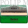 Kép 7/10 - Sela SE 248 Mahogany 17 kalimba Zöld