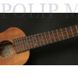 Takamine EGU-T1 ukulele tenor
