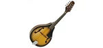 MANDOLIN