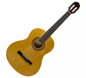 Pasadena CG-161 NT  4/4 klasszikus gitár