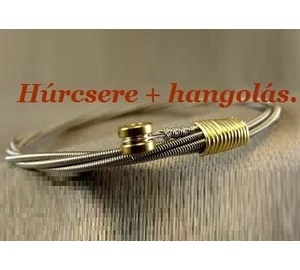 Munkadíj (Húrcsere+hangolás)