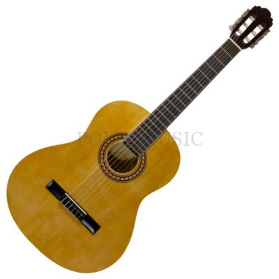 Pasadena CG-161 NT  4/4 klasszikus gitár