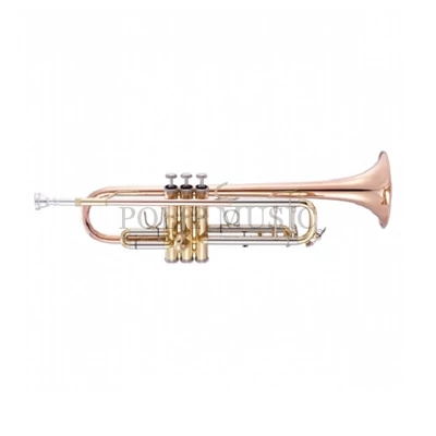 Garry Paul TR-8332 QSN Trombita