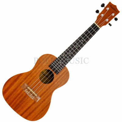 Pasadena SU024B koncert ukulele Natural tokkal