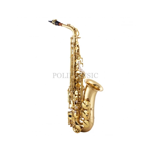 Garry Paul GP-A-808L-III Tartozékokkal Eb Alt Szaxofon szett