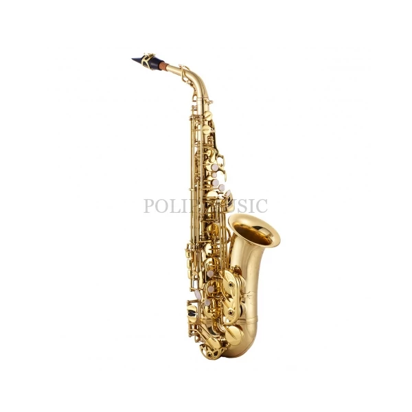 Garry Paul GP-A-X818L Tartozékokkal Eb Alt Szaxofon szett