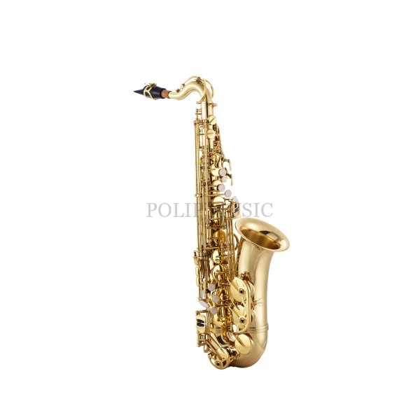 Garry Paul GP 6430L-H Tartozékokkal Eb Alt Szaxofon szett