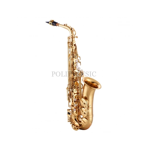 Garry Paul GP-A-808LTartozékokkal  Eb Alt Szaxofon szett