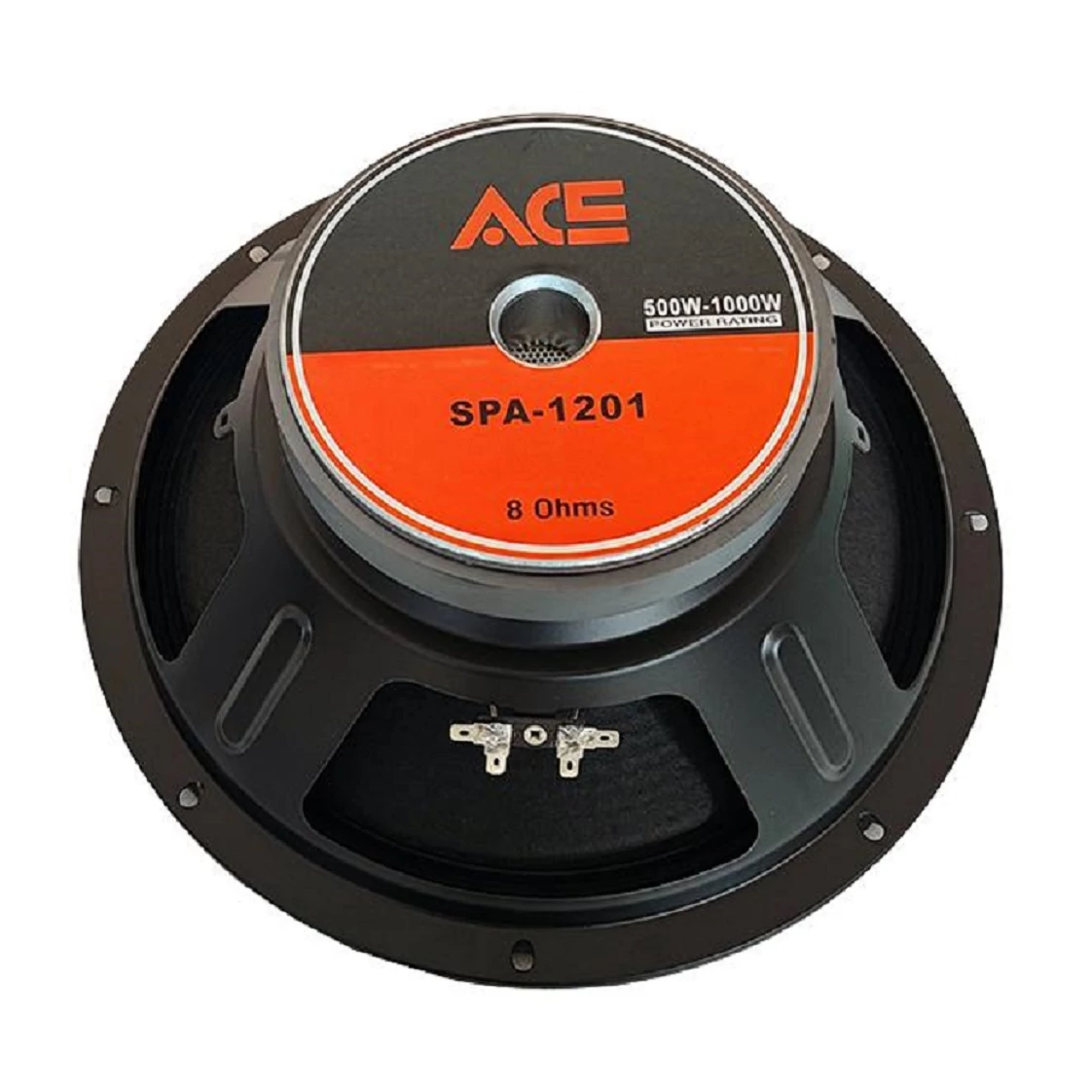 RH Sound - ACE SPA-1201 250/500W 12