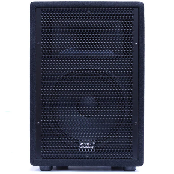 Soundking J210 200W 10